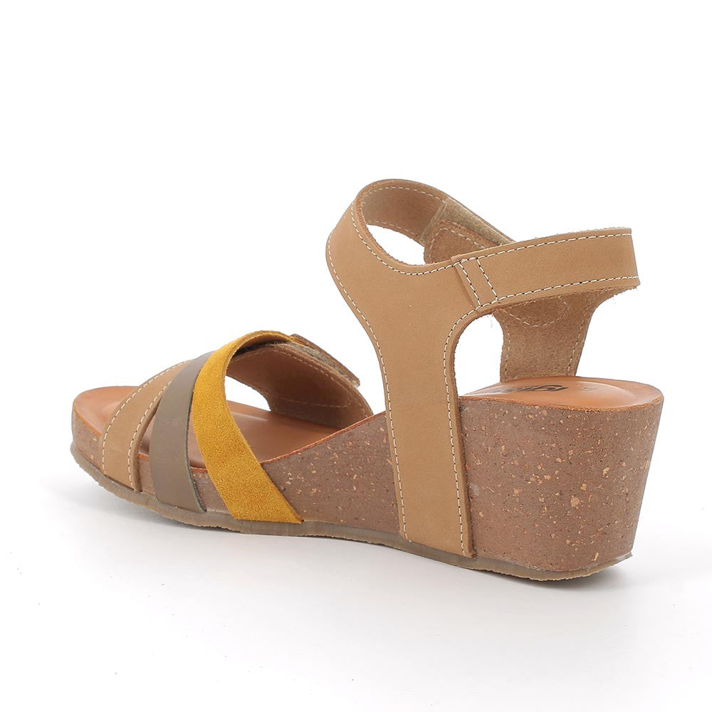 IGI&CO 36972 LAURITA 33 TORTORA FANGO