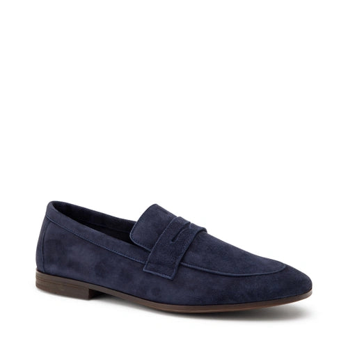 FRAU 34D5 DAINO BLU