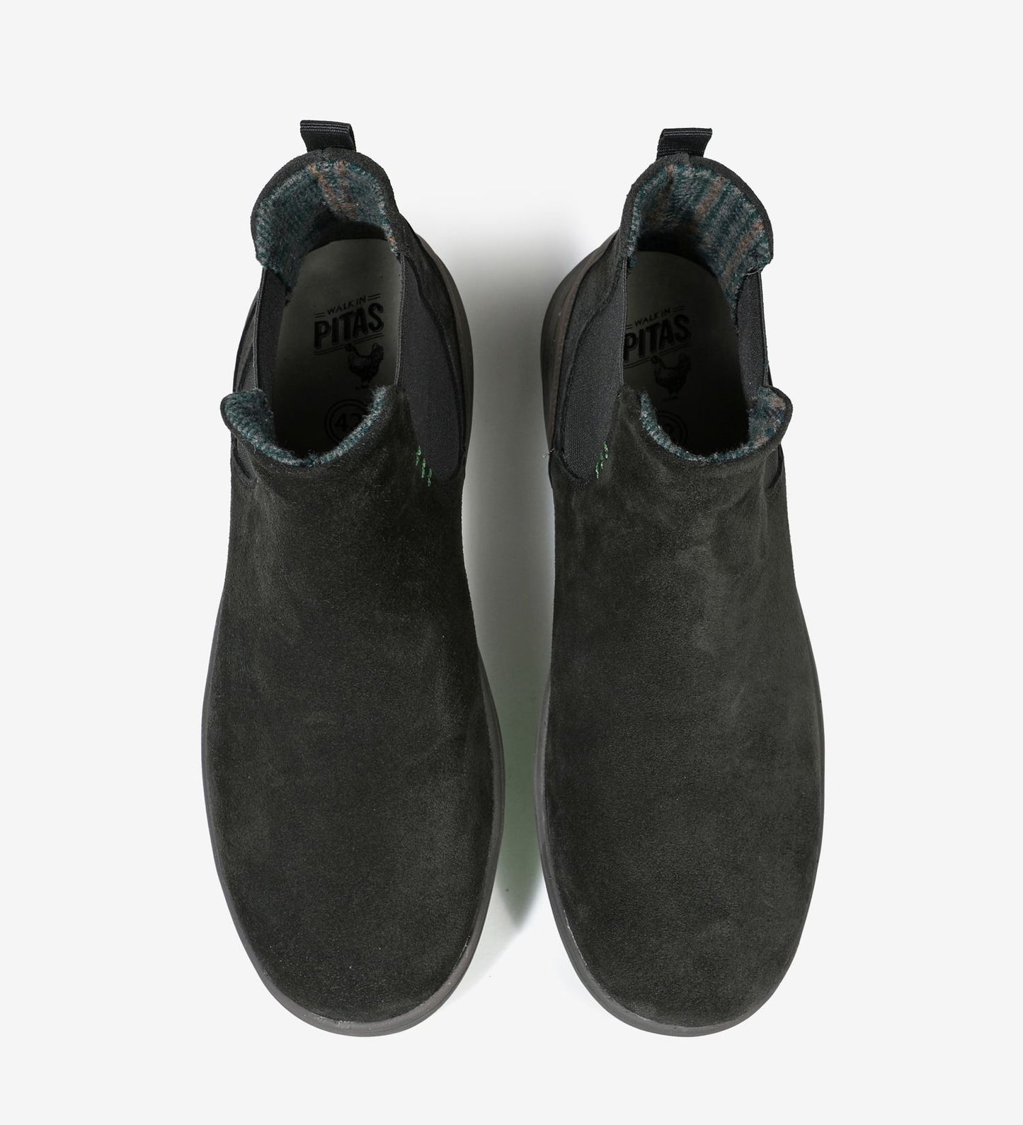 PITAS ENOL COAST TOPO