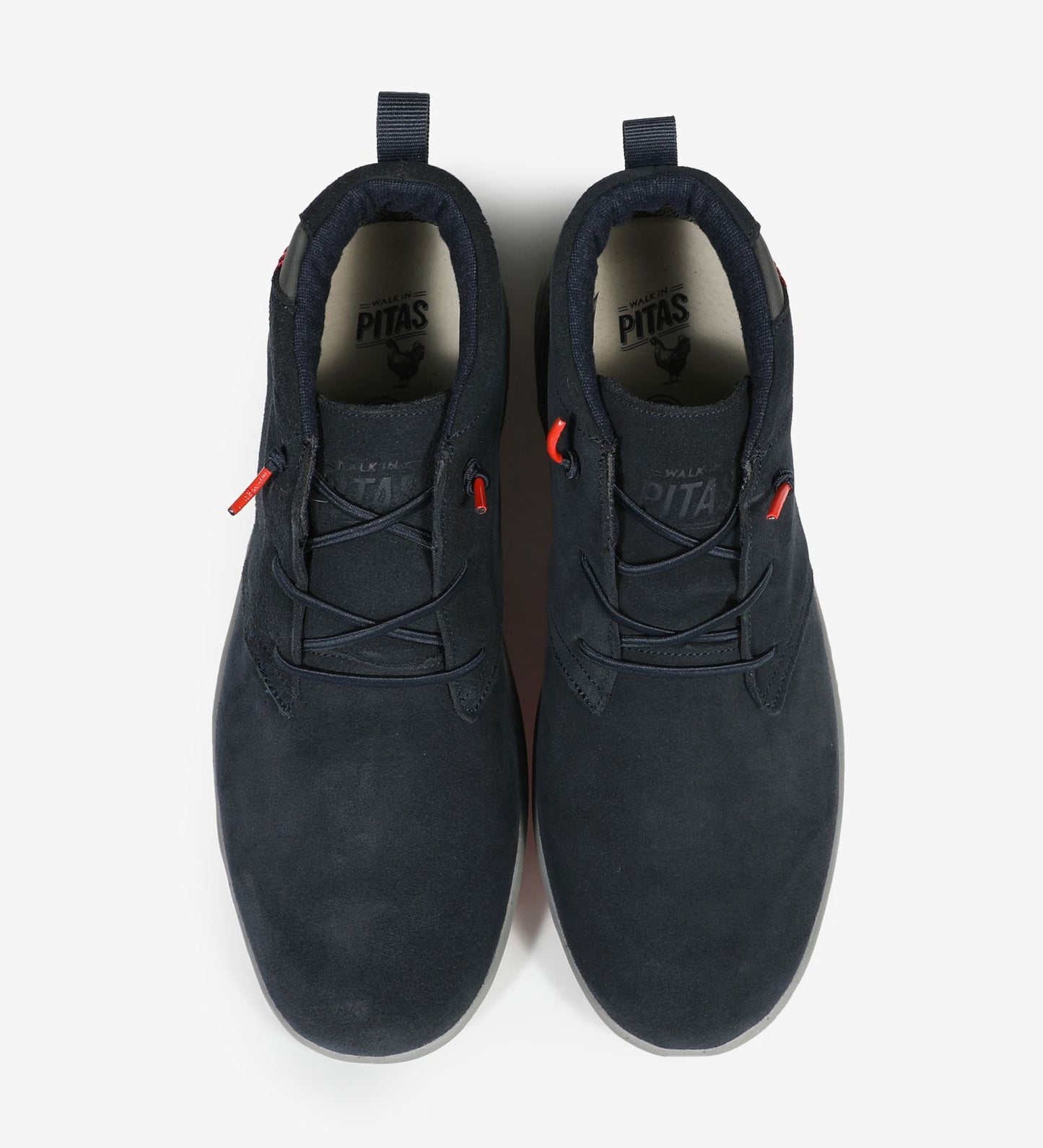 PITAS JAYA COAST 335 scam+blu MARINO