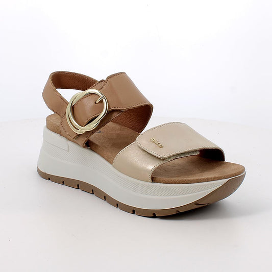 IGI&CO 11780 SIRENA 118 pelle+platino-marr 11