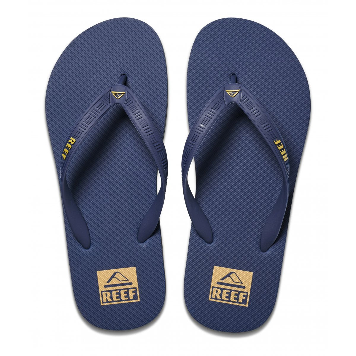 REEF SEASIDE 555 sint+blu CI2723